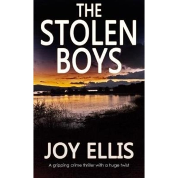 The Stolen Boys (häftad, eng)