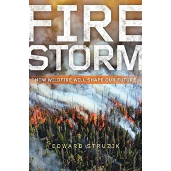 Firestorm (häftad, eng)