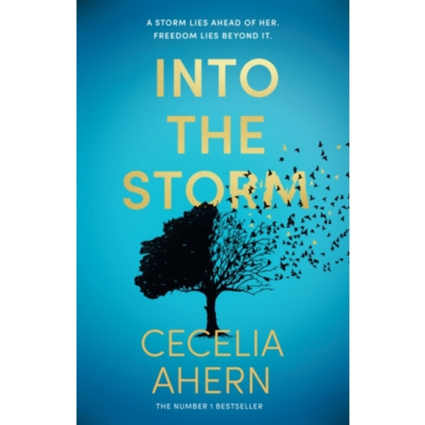 Into the Storm (inbunden, eng)