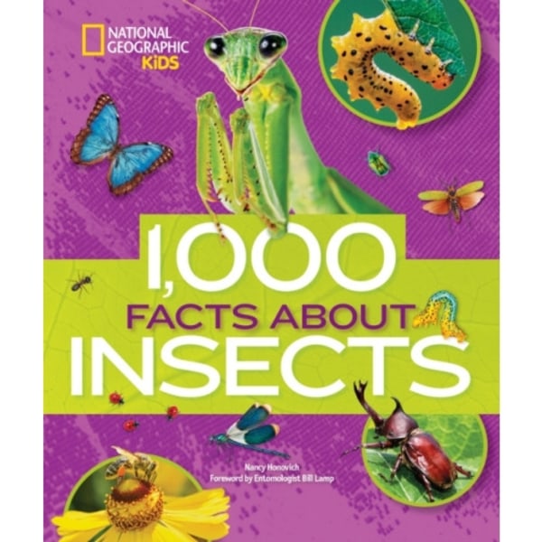 1000 Facts About Insects (inbunden, eng)