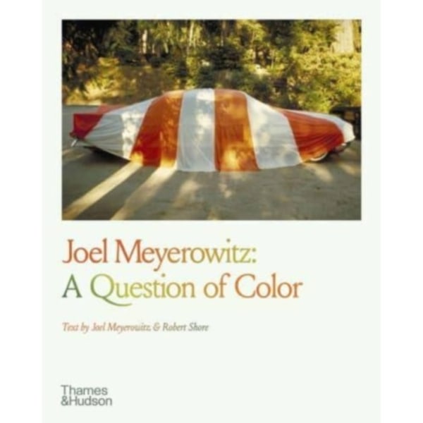 Joel Meyerowitz: A Question of Color (häftad, eng)