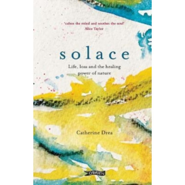 Solace (inbunden, eng)