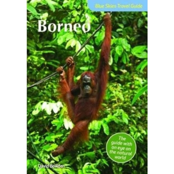 Blue Skies Travel Guide: Borneo (häftad, eng)