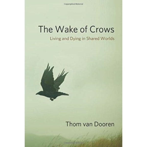 The Wake of Crows (inbunden, eng)