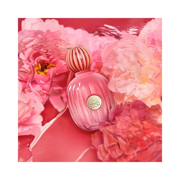 The Icon Splendid Edp 100ml
