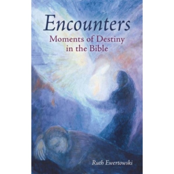 Encounters: Moments of Destiny in the Bible (häftad, eng)