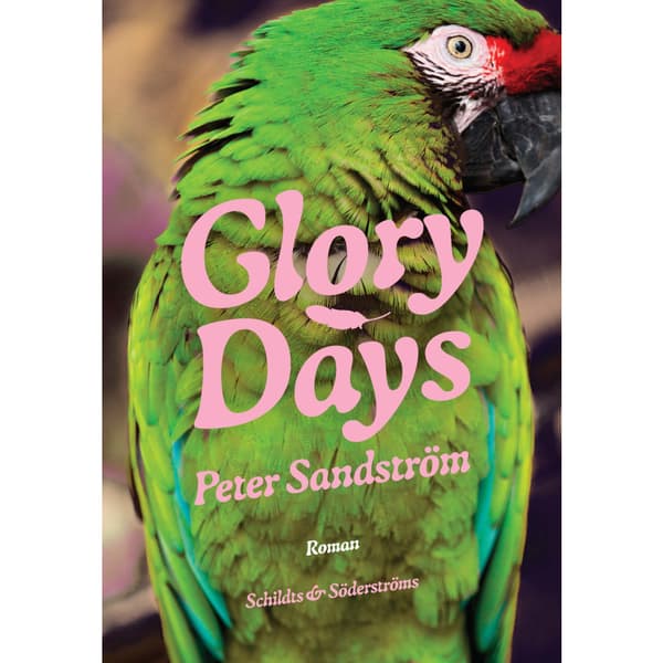 Glory Days (inbunden)