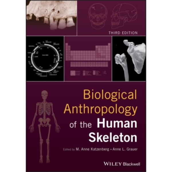 Biological Anthropology of the Human Skeleton (inbunden, eng)