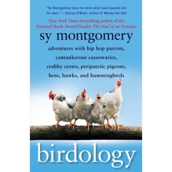 Birdology (häftad, eng)