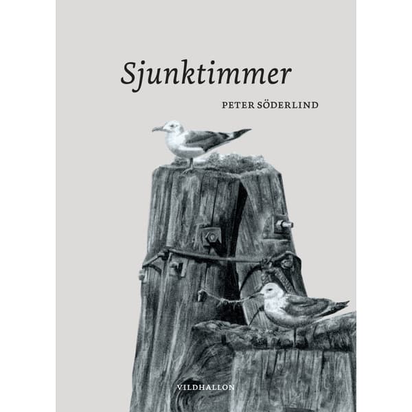 Sjunktimmer (bok, danskt band)