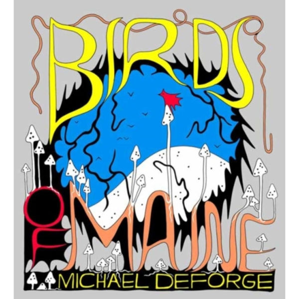 Birds of Maine (inbunden, eng)