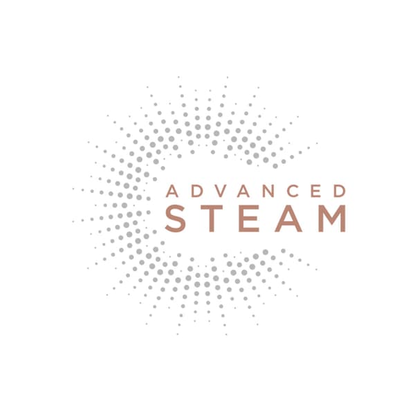 BaByliss Steam Mist Styler