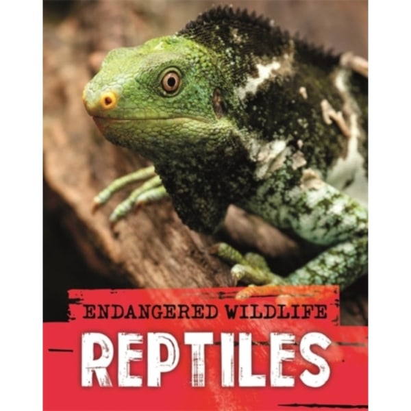 Endangered Wildlife: Rescuing Reptiles (häftad, eng)