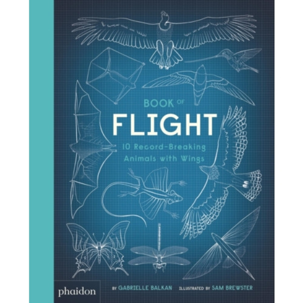 Book of Flight (inbunden, eng)