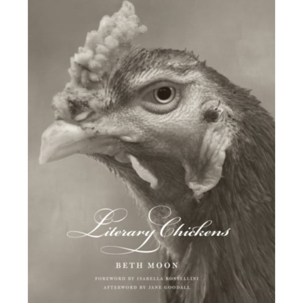 Literary Chickens (inbunden, eng)