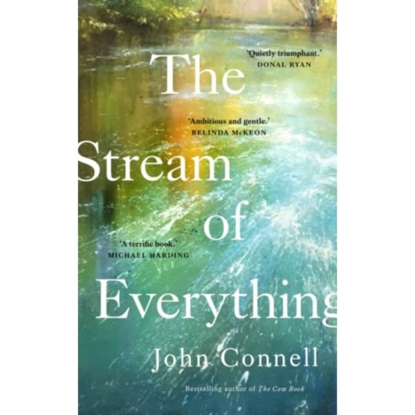 The Stream of Everything (inbunden, eng)