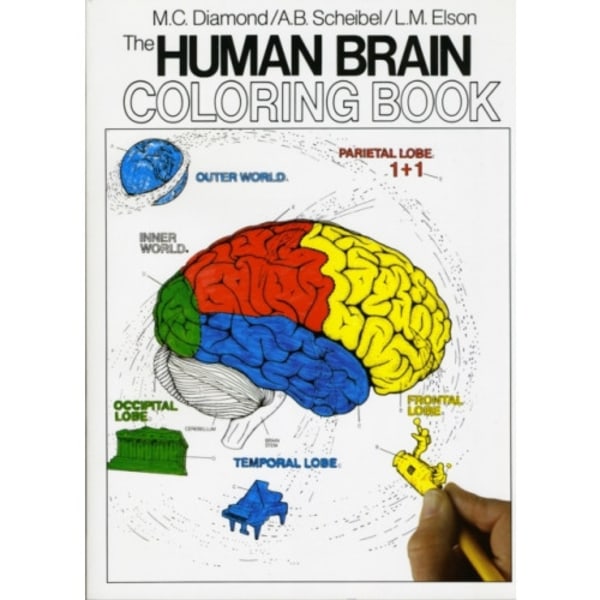 The Human Brain Coloring Book (häftad, eng)