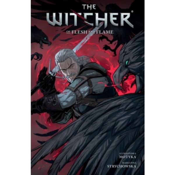 The Witcher Volume 4 (häftad, eng)