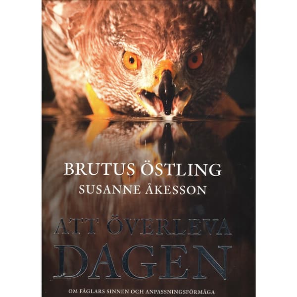 Att överleva dagen (bok, kartonnage)