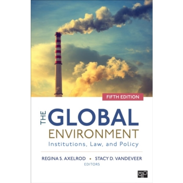The Global Environment (häftad, eng)