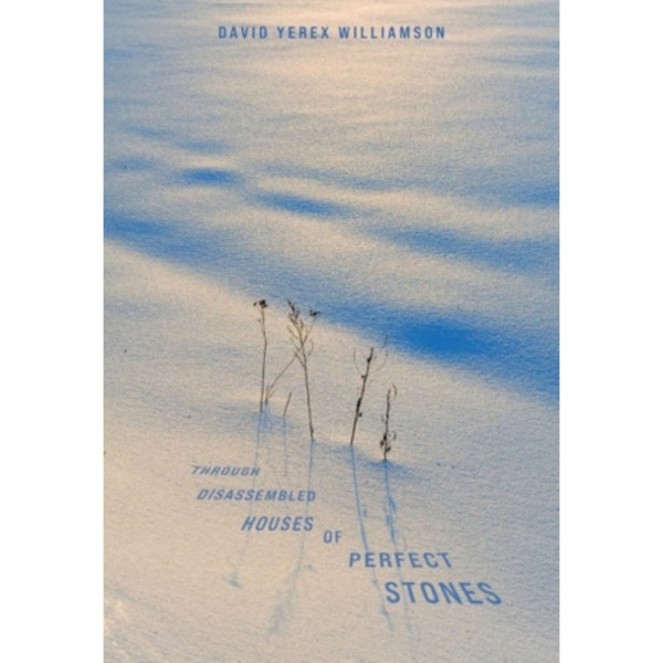 Through Disassembled Houses of Perfect Stones (häftad, eng)