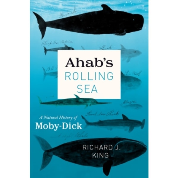 Ahab's Rolling Sea (häftad, eng)