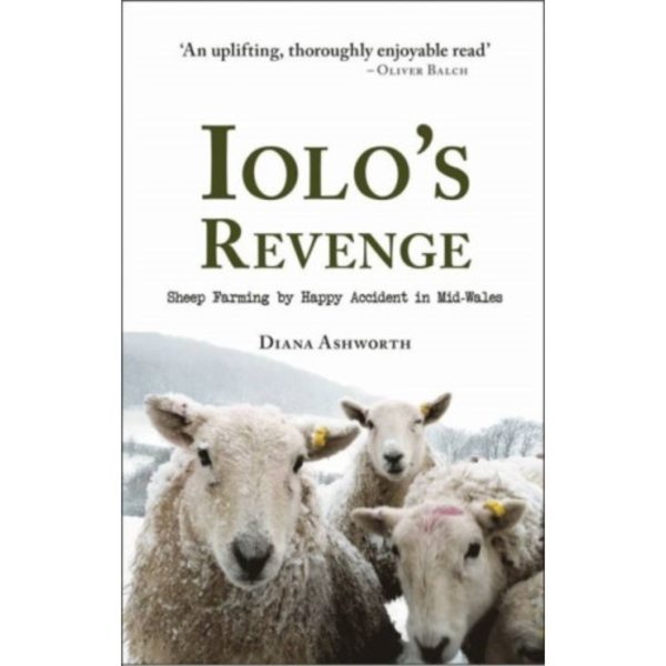 Iolo's Revenge (häftad, eng)