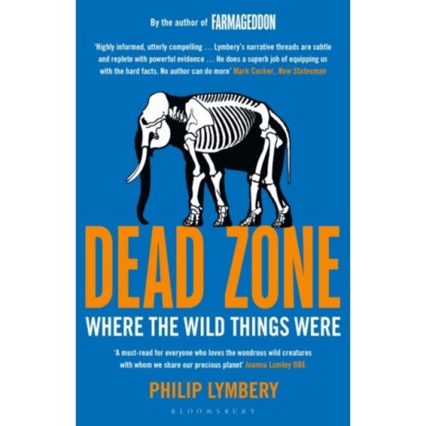 Dead Zone (häftad, eng)