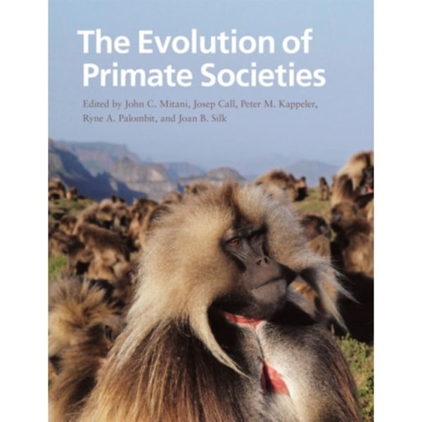 The Evolution of Primate Societies (häftad, eng)