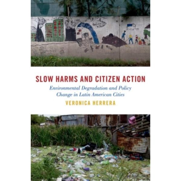 Slow Harms and Citizen Action (häftad, eng)