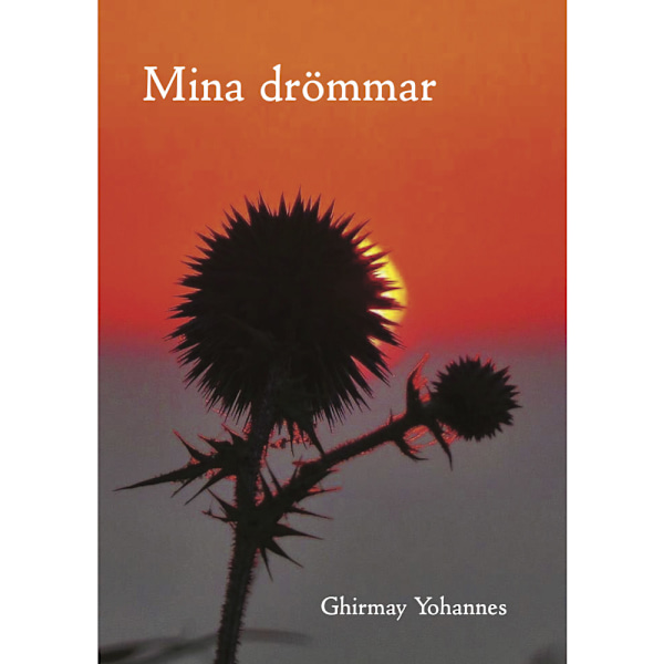 Mina drömmar (häftad)