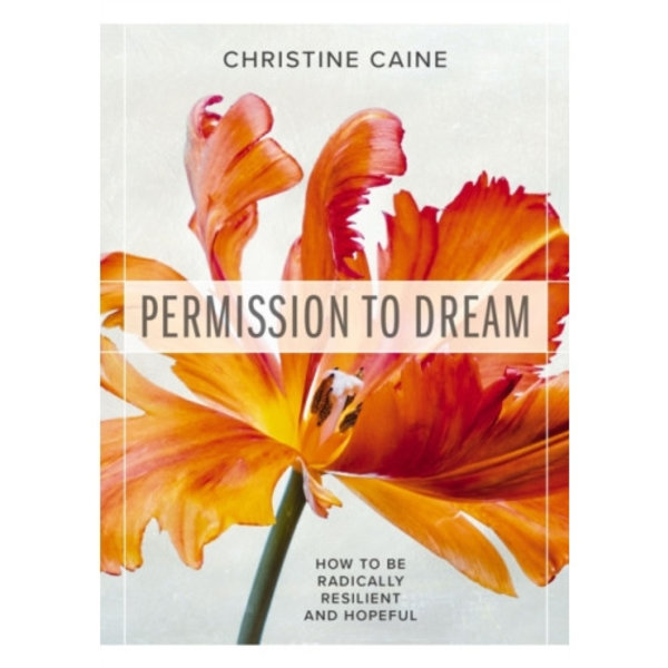 Permission to Dream (häftad, eng)