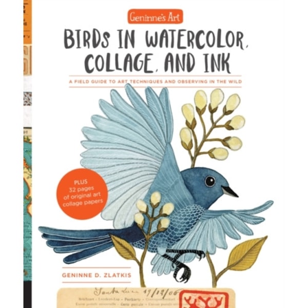 Geninne's Art: Birds in Watercolor, Collage, and Ink (häftad, eng)