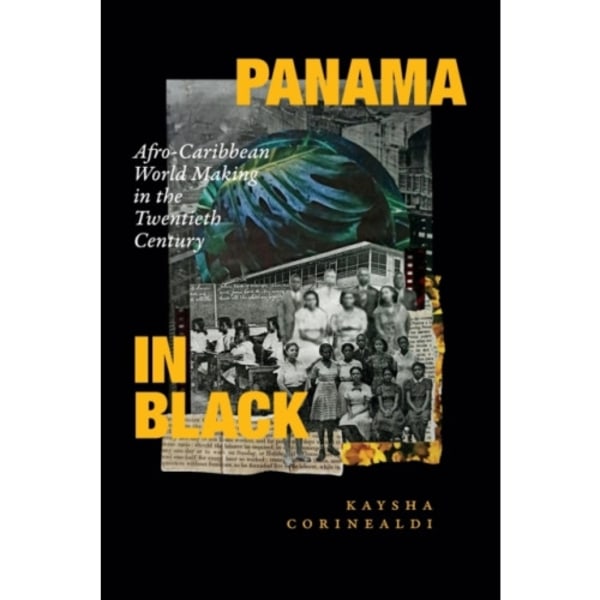 Panama in Black (häftad, eng)