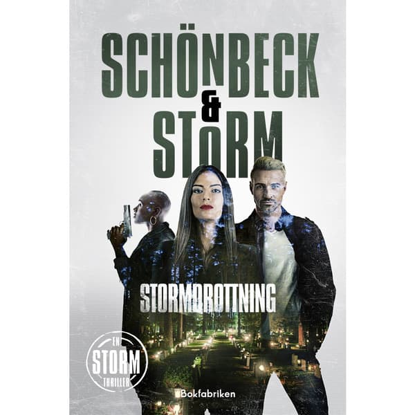 Stormdrottning (bok, kartonnage)