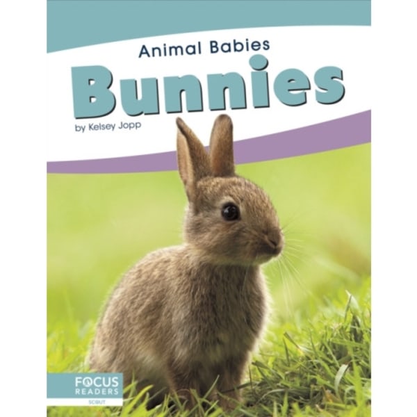 Bunnies (inbunden, eng)