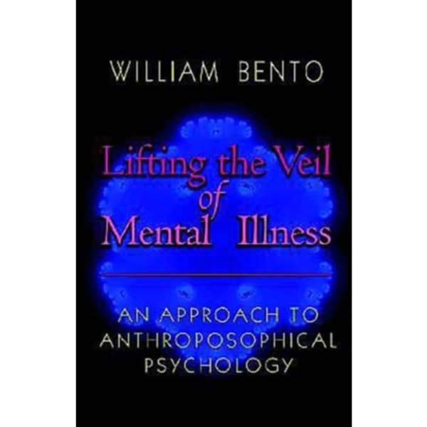 Lifting the Veil of Mental Illness (häftad, eng)