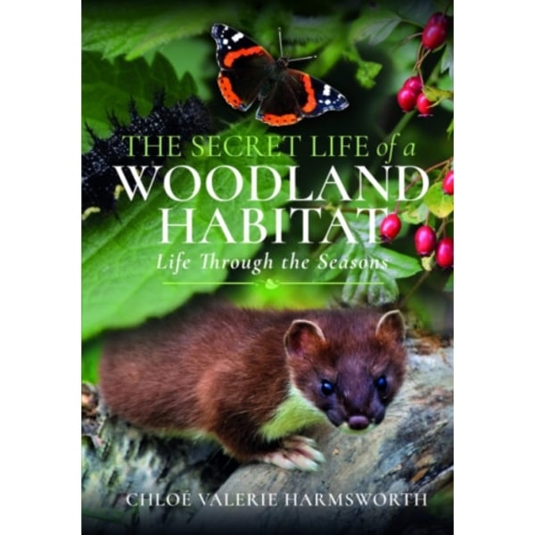 The Secret Life of a Woodland Habitat (inbunden, eng)