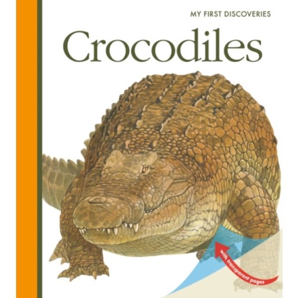 Crocodiles (bok, spiral, eng)