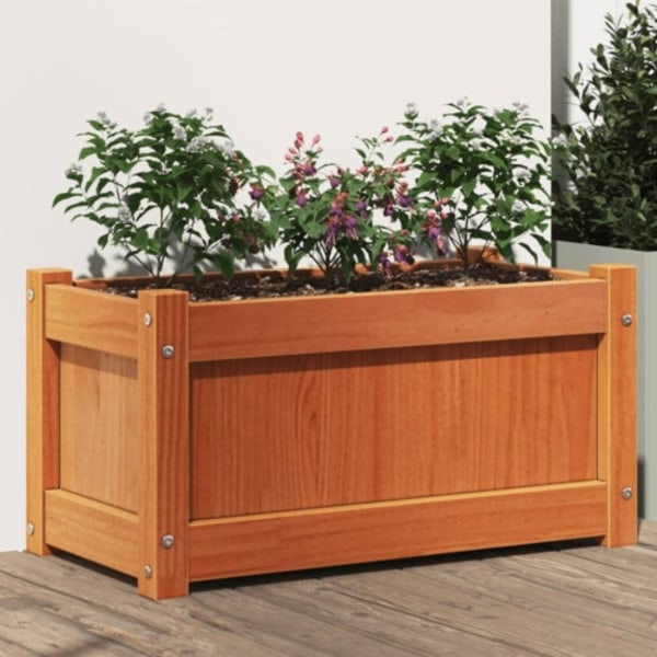 Odlingslåda vaxbrun 60x31x31 cm massiv furu
