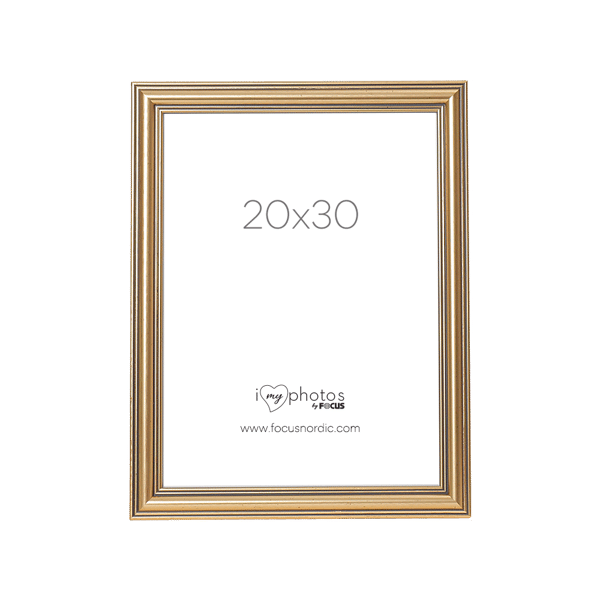Focus Tango Classic Gold 20x30