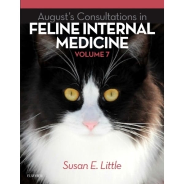 August's Consultations in Feline Internal Medicine, Volume 7 (inbunden, eng)