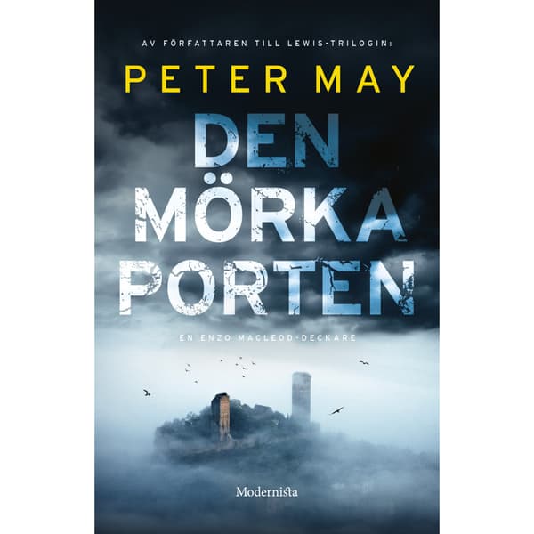 Den mörka porten (bok, storpocket)