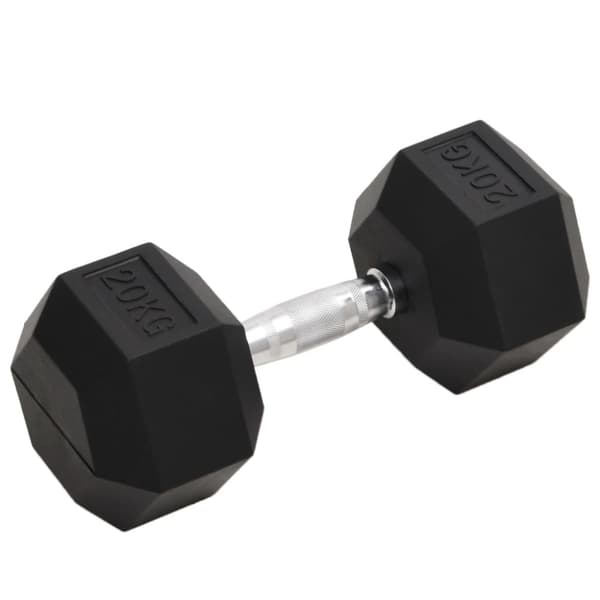 Hantel 20 kg gjutjärn