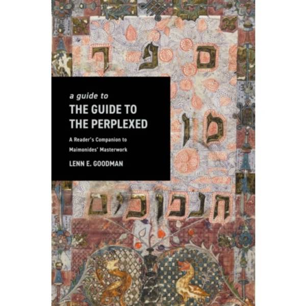 A Guide to TheGuide to the Perplexed (häftad, eng)