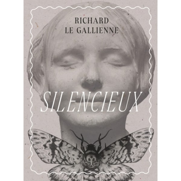 Silencieux eller Avbildens tillbedjare (bok, danskt band)