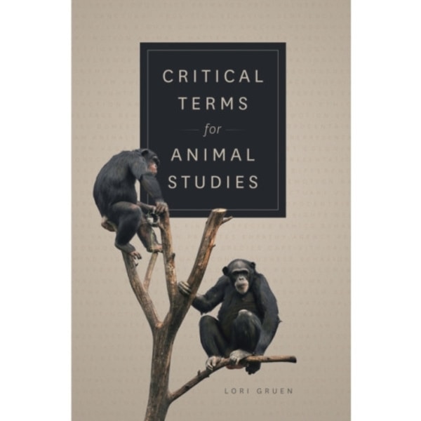 Critical Terms for Animal Studies (häftad, eng)