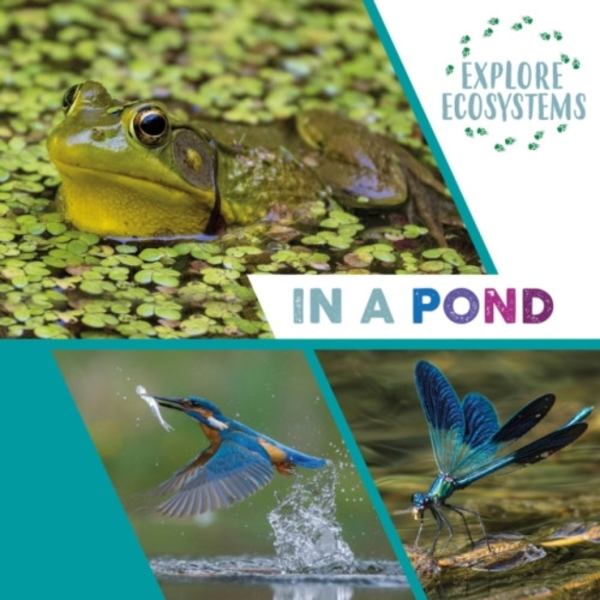 Explore Ecosystems: In a Pond (inbunden, eng)
