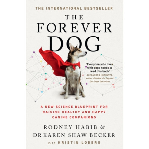 The Forever Dog (häftad, eng)