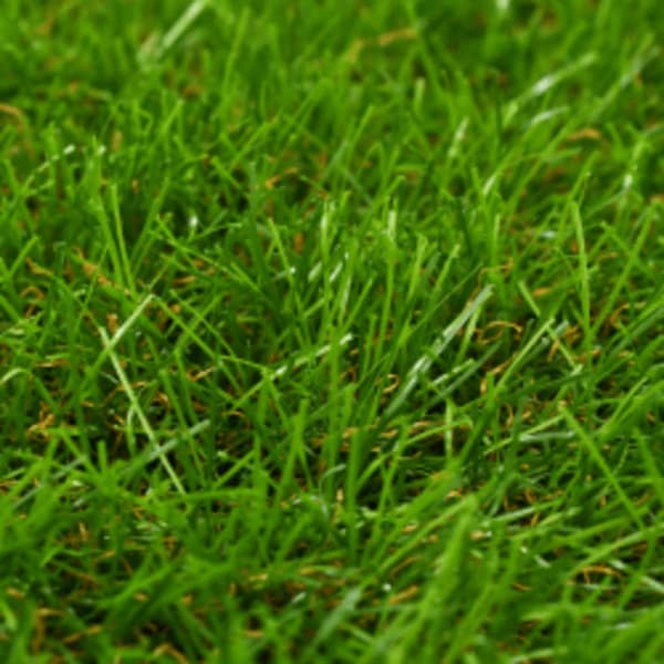 Konstgräsmatta 1x15 m/40 mm grön